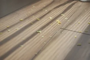 Læs mere om artikel 